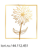 Golden branch, twig, flower,  floral ornament, frame. Стоковая иллюстрация, иллюстратор Наталия Бурма / Фотобанк Лори