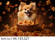 Digestible Spitz dog food. Generate Ai. Стоковое AI-изображение, AI-художник Иван Рябоконь / Фотобанк Лори