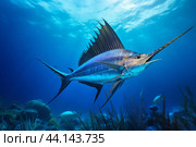 Swordfish underwater reef. Generate Ai. Стоковое AI-изображение, AI-художник Иван Рябоконь / Фотобанк Лори