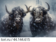 Two bulls in wintertime. Generate ai. Стоковое AI-изображение, AI-художник Иван Рябоконь / Фотобанк Лори
