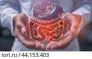 3D Model of the Human Digestive System in a Person's Hands. Стоковое AI-видео, аниматор Климов Денис / Фотобанк Лори