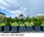 Вид из сада на Синем мосту, кусты подстрижены в форме шахмат, на Исаакиевский собор Санкт-Петербурга на фоне неба с облаками летним днем (2024 год). Стоковое фото, фотограф Елена Яворская / Фотобанк Лори