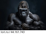 Majestic silverback gorilla in contemplative pose. Стоковое AI-изображение, AI-художник Иван Рябоконь / Фотобанк Лори