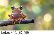 A small frog sitting on a branch with its eyes open, AI. Стоковое AI-изображение, AI-художник Сергей Старуш / Фотобанк Лори