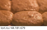 Baking dough cookies on a baking sheet in the oven, time lapse. Close-up shot. Cooking and baking concept for recipe books and food blogs. Стоковое видео, видеограф Андрей Журавлев / Фотобанк Лори