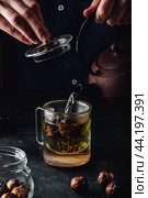 Steeping red tea in glass mug. Стоковое фото, фотограф Всеволод Белоусов / Фотобанк Лори