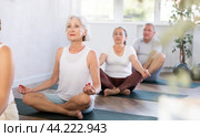 In yoga class senior lady performs lotus pose-Padmasana-Siddhasana with friends. Стоковое фото, фотограф Яков Филимонов / Фотобанк Лори