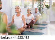 In yoga class senior lady performs lotus pose-Padmasana-Siddhasana with friends. Стоковое фото, фотограф Яков Филимонов / Фотобанк Лори
