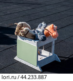 Small horse heads on hobbyhorsing sticks in a box on the playground. Стоковое фото, фотограф Галина Эмберг / Фотобанк Лори