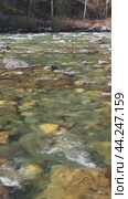 Vertical drone video of Altai river Kumir. Camera moves sideways over water at a low altitude. Стоковое видео, видеограф Сергей Пристяжнюк (Serg Zastavkin) / Фотобанк Лори