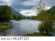 View of the Psysh riverbed in the northern foothills of the Caucasus Mountains near the village of Arkhyz on a sunny summer day, Karachay-Cherkessia, Russia. Стоковое фото, фотограф Ula Ulachka / Фотобанк Лори