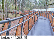 Landscape attraction Ecotrail. Walking route through preserved area of VDNH, Moscow, Russia (2024 год). Стоковое фото, фотограф Ирина Кононова / Фотобанк Лори
