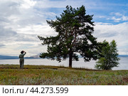 Девушка смотрит в даль около сосны на берегу Волги (2024 год). Стоковое фото, фотограф Валерий Леонидович / Фотобанк Лори