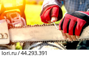 A craftsman or carpenter sharpens a chain at a chainsaw. Стоковое фото, фотограф Igor Skripachev / Фотобанк Лори