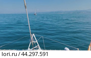 Сочи. Прогулка на катере. открытое море. дельфины (2024 год). Стоковое видео, видеограф Сергей Татаринцев / Фотобанк Лори