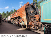 Старые паровозы и железнодорожные составы в музее под открытым небом. Фондовая площадка Пионерский парк ЦМЖТ России. Лебяжье. Ленинградская область. (2022 год). Стоковое фото, фотограф Дымов Игорь / Фотобанк Лори