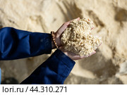 Handful of soy flour for feeding livestock in female hands. Стоковое фото, фотограф Яков Филимонов / Фотобанк Лори