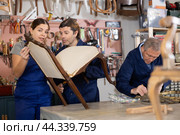 Portrait of three woodworkers restorers renovating Victorian chair and mirror frame in workshop. Стоковое фото, фотограф Яков Филимонов / Фотобанк Лори
