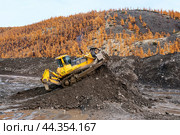 Бульдозер Komatsu D -375  в горной местности сгребает кучу горного золотосодержащего грунта , который колесным погрузчиком Komatsu WA500 будет перевозиться на промывку с целью извлечения желтого драгоценного метала (2009 год). Редакционное фото, фотограф Павел Просянов / Фотобанк Лори