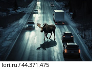 Moose entered roadway on winter night outside city. Стоковое AI-изображение, AI-художник Владимир Григорьев / Фотобанк Лори