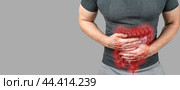 Intestinal inflammation. Abdominal pain man, photo of large intestine on man body, stomachache diarrhea symptom or food poisoning. gray background, copy space. Стоковое фото, фотограф Павел Муравьев / Фотобанк Лори