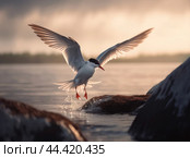 A tern taking off and scene of terns in flight. Стоковое AI-изображение, AI-художник Veniamin Kraskov / Фотобанк Лори