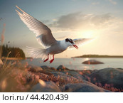 A tern taking off and scene of terns in flight. Стоковое AI-изображение, AI-художник Veniamin Kraskov / Фотобанк Лори