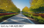 Beautiful city park in sunny autumn day with pathway benches and colorful bushes. Стоковое AI-видео, аниматор Юрий Поздников / Фотобанк Лори