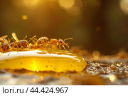 Tempting Ants honey drop sunlight. Generate Ai. Стоковое AI-изображение, AI-художник Иван Рябоконь / Фотобанк Лори
