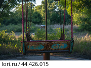 Desolate Abandoned carousel. Generate Ai. Стоковое AI-изображение, AI-художник Иван Рябоконь / Фотобанк Лори