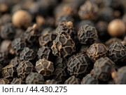 Pungent Black pepper closeup. Generate Ai. Стоковое AI-изображение, AI-художник Иван Рябоконь / Фотобанк Лори