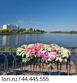City of Vyborg, Russia. View of the city and castle from the Bolshoy Kovsh Bay (Finnish name Salakkalahti) in summer. Стоковое фото, фотограф Елена  Попкова / Фотобанк Лори