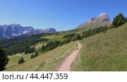 Dirt road lies among green grass meadows and wooded areas near Goma mountain pass, Dolomites. Стоковое видео, видеограф Яков Филимонов / Фотобанк Лори
