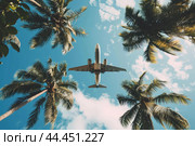 Sky-bound Airplane over tropical palm tree. Generate Ai. Стоковое AI-изображение, AI-художник Иван Рябоконь / Фотобанк Лори