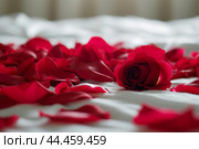 Inviting Bed covered with rose petals. Generate ai. Стоковое AI-изображение, AI-художник Иван Рябоконь / Фотобанк Лори