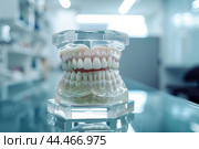 Dental study model on glass table. Стоковое AI-изображение, AI-художник Иван Рябоконь / Фотобанк Лори