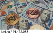 Exploring the intersection of cryptocurrency and cash in contemporary finance. Стоковое видео, видеограф Сергей Толмачёв / Фотобанк Лори
