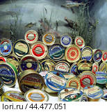 Рыбные консервы в жестяных банках - продукция Астраханского рыбокомбината 70-80х годов, и незначительная часть начала 90-х. - кспонаты музея КаспНИРХа. фото 1994-1995 г.г. Редакционное фото, фотограф Павел Просянов / Фотобанк Лори