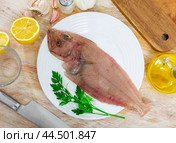 Raw megrim fish served with parsley. Стоковое фото, фотограф Яков Филимонов / Фотобанк Лори