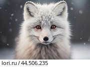 Cute Arctic Fox Close-up. Стоковое AI-изображение, AI-художник Veniamin Kraskov / Фотобанк Лори