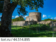Ruins of Koporye fortress (2024) Стоковое фото, фотограф Анна Кривицкая / Фотобанк Лори