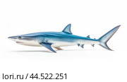 Blue shark (Prionace glauca) on white background. Стоковое AI-изображение, AI-художник Veniamin Kraskov / Фотобанк Лори