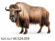 Musk ox on white background. Стоковое AI-изображение, AI-художник Veniamin Kraskov / Фотобанк Лори