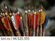 Bundle of colorful arrows with feather fletching standing upright. Стоковое AI-изображение, AI-художник Иван Рябоконь / Фотобанк Лори