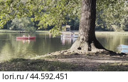 Boats with vacationers sail along the surface of the lake opposite the island with trees. Russia. Moscow. Kuzminki Park. 08.09.2024. Редакционное видео, видеограф Ярославский Максим / Фотобанк Лори
