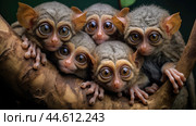 Group of Philippine tarsiers Carlito syrichta. Стоковое AI-изображение, AI-художник Veniamin Kraskov / Фотобанк Лори