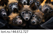 Group of Spectacled flying foxes closeup. Стоковое AI-изображение, AI-художник Veniamin Kraskov / Фотобанк Лори