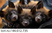 Group of Spectacled flying foxes closeup. Стоковое AI-изображение, AI-художник Veniamin Kraskov / Фотобанк Лори