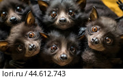 Group of Spectacled flying foxes closeup. Стоковое AI-изображение, AI-художник Veniamin Kraskov / Фотобанк Лори