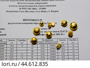 Капли  золота полученные в лабораторных условиях из обогащенной золотосодержащей руды на месторождении " Бадран " ( Восточная Сибирь, Республика САХА (Я), Оймяконский район (2010 год). Редакционное фото, фотограф Павел Просянов / Фотобанк Лори